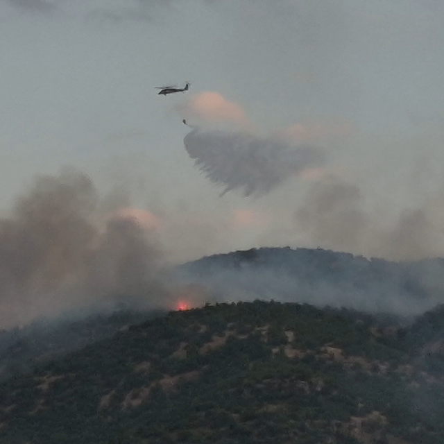Malatya'da orman yangını (2)