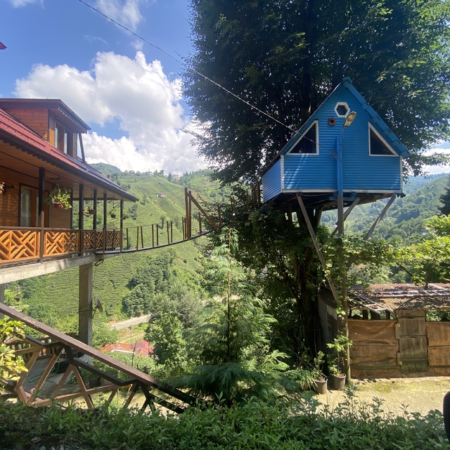 Rize'de iki kardeşin ağaç evine balkondan asma köprüyle ulaşım