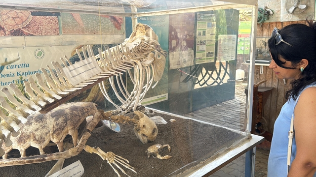 Galeri