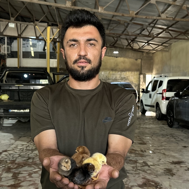 Bir belgesel izledi, hayatı değişti: Oto yıkama dükkanından tavukçuluk fabr...