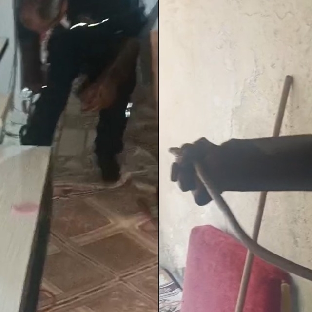 Hakkari'de eve giren yılan paniğe neden oldu