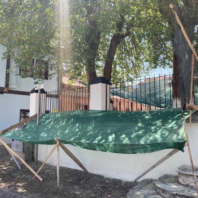 Dökülen dutlar için ağlı önlem
