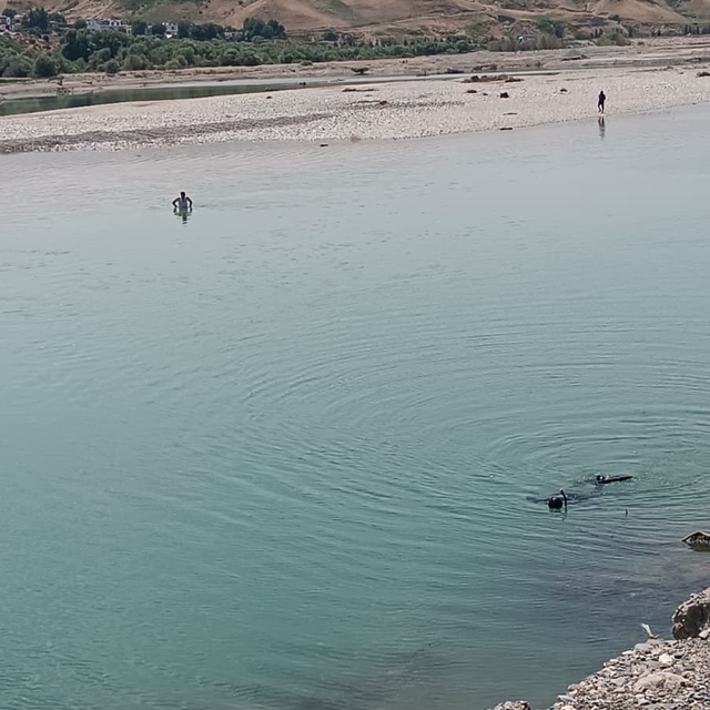 Diyarbakır'da kayıp şahsı arama çalışmaları ikinci gününde sürüyor