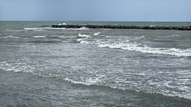 Galeri
