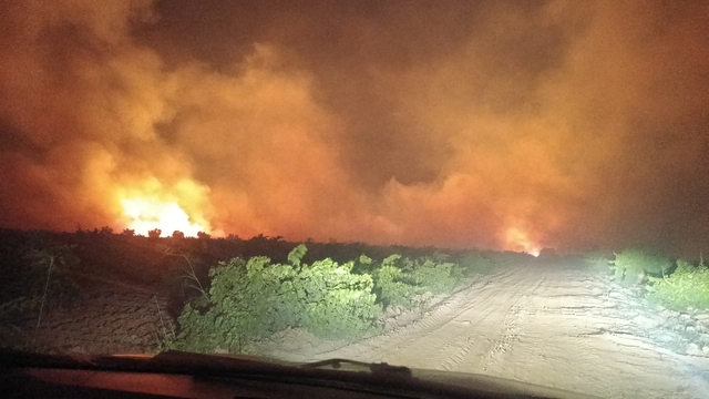 Gaziantep'te 400 dönüm alan ile 200 üzüm bağı yandı