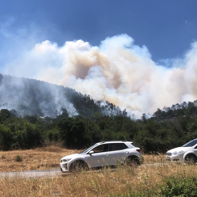 Balıkesir Kepsut'ta orman yangını