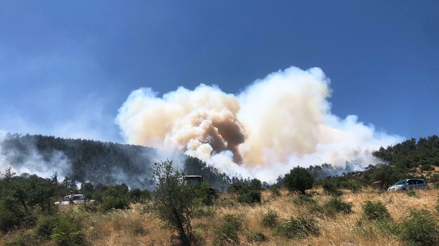 Balıkesir'de orman yangını