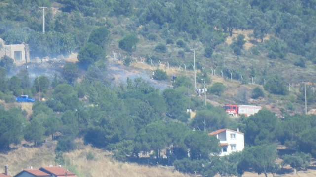 Cunda Adası'nda orman yangını