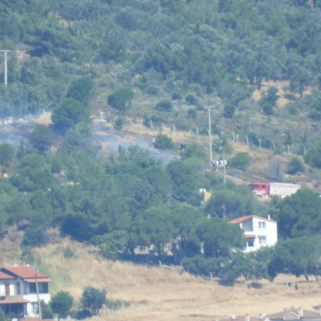 Cunda Adası'nda orman yangını