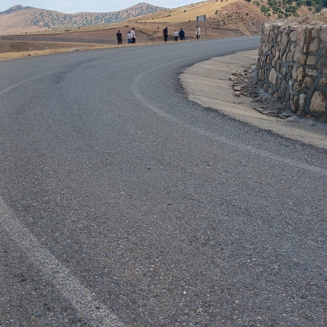 Siirt'te şarampole devrilen kamyonetteki 3 kişi yaralandı