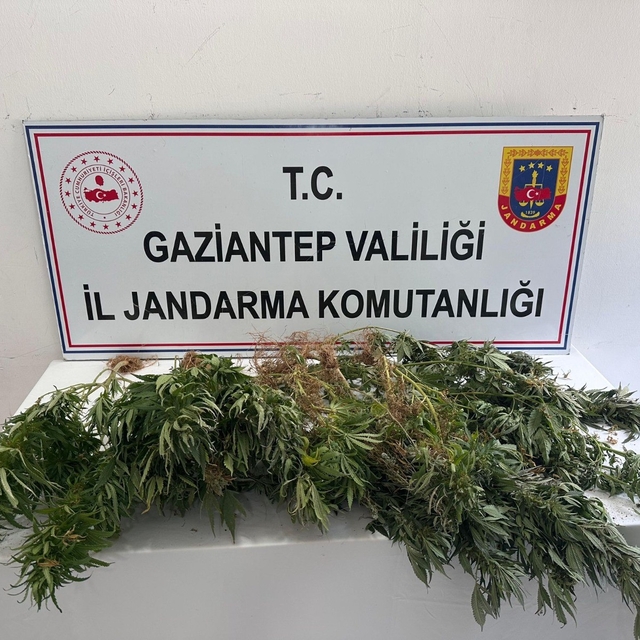 Gaziantep jandarmadan uyuşturucu operasyonu