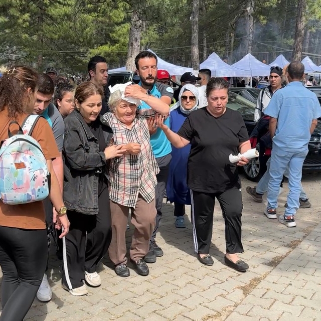 Şenlikte ağaçtan düşen dal yaşlı kadını yaraladı