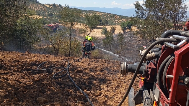 Balıkesir'de anız yangını, alevler 1,5 saatte kontrol altına alındı