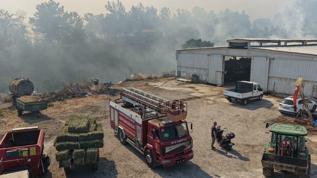 Balıkesir'de Kepsut'un ardından Altıeylül ve Karesi'de de yangın