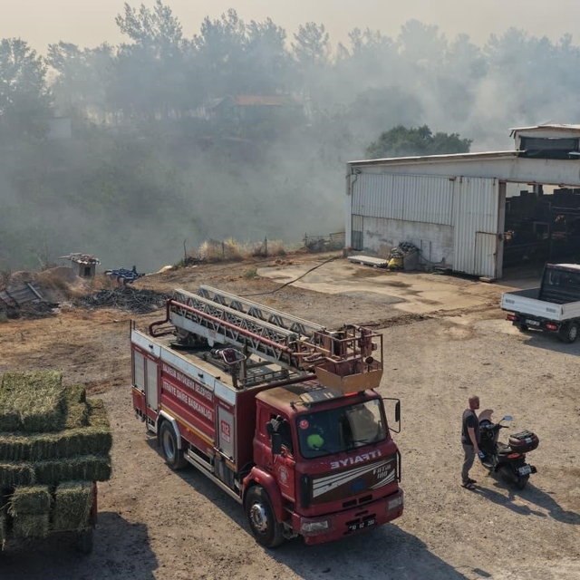 Balıkesir'de üç ayrı noktada yangın