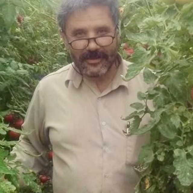 Traktör şarampole yuvarlandı, sürücü öldü
