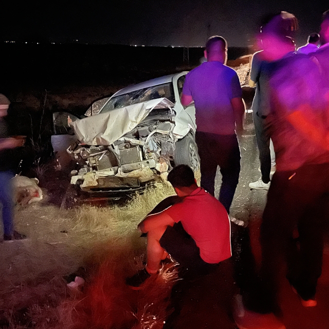 Siverek'te otomobil koyun sürüsüne daldı: 3 kişi yaralandı, 11 koyun telef...