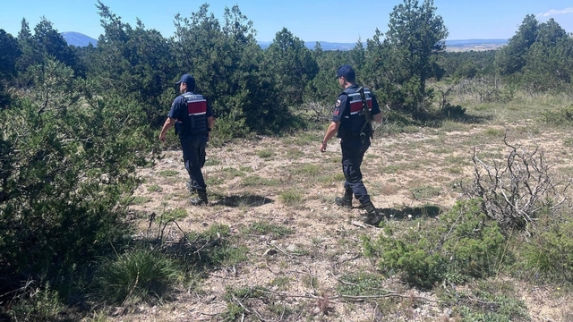 Kütahya'da orman yangınlarına karşı jandarma teyakkuza geçti