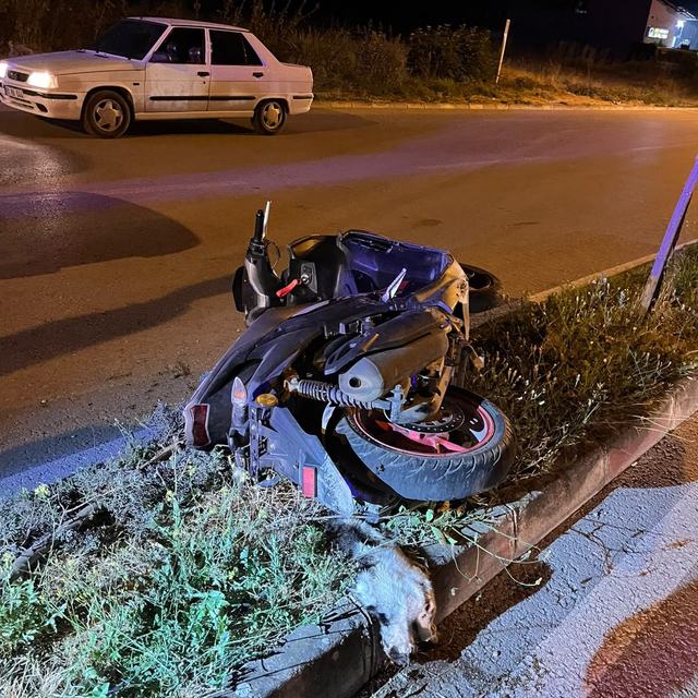 Kediye çarpmamak için manevra yapan motosikletli kaza yaptı: 1 ölü