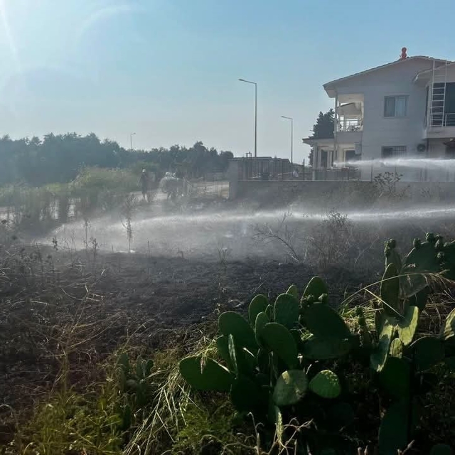 Arsuz'da otluk alan yangını