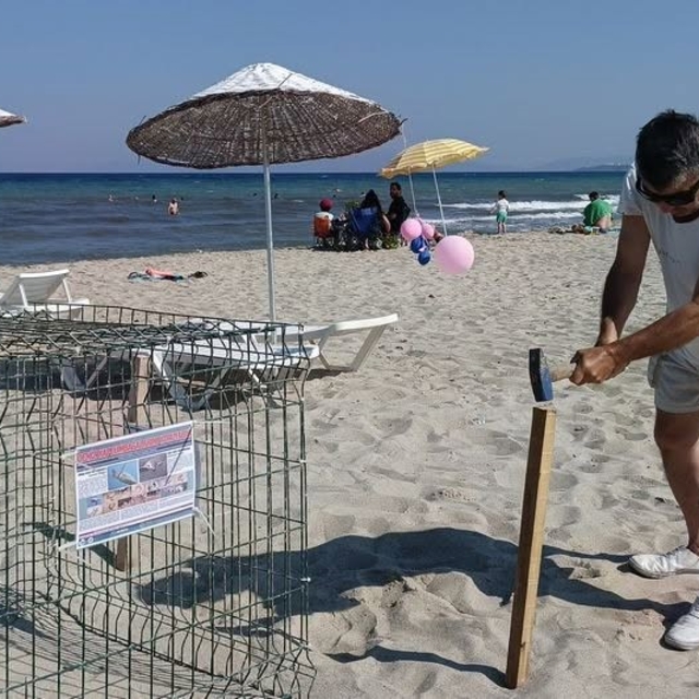 Kuşadası'nda caretta carettalardan umutlandıran yuva