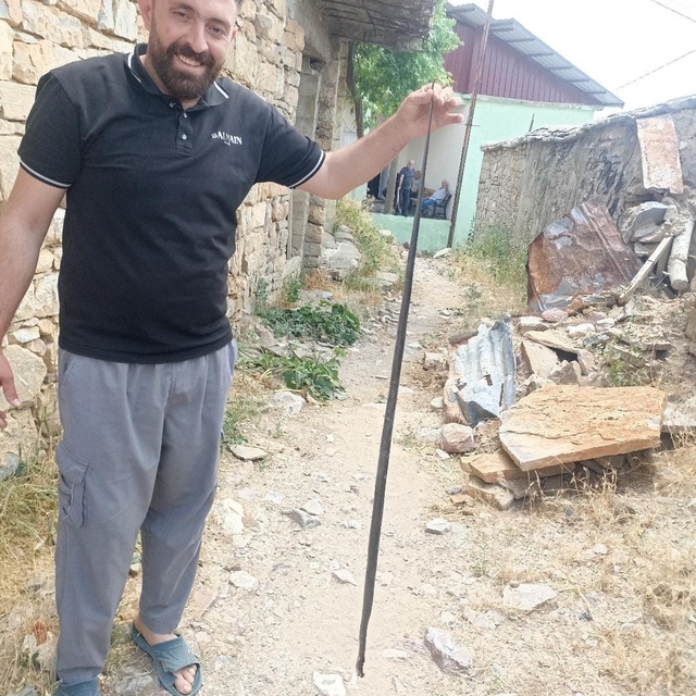 Baykan'da yılan paniği
