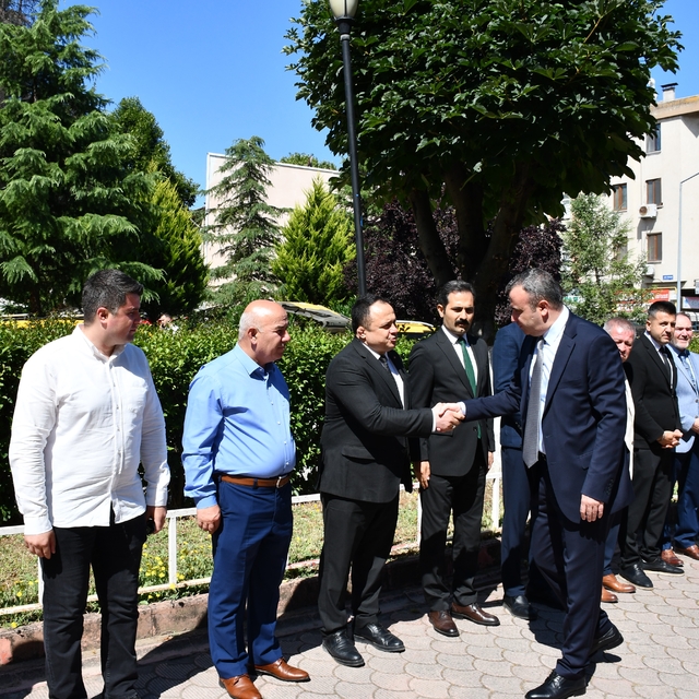 Yeni Vezirköprü Kaymakamı Yıldız'a karşılama