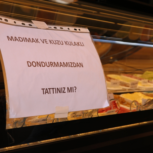 Türkülere konu olan madımakın dondurmasını yaptılar
