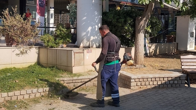 Efeler Belediyesi'nden yeşil alanlarda çalışma