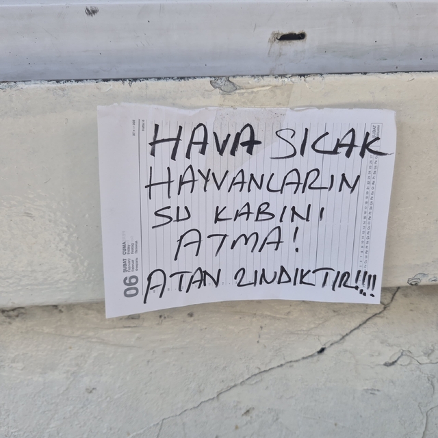 Sokak hayvanlarının su kabını atanlara ilginç tepki: "Atan zındıktır"
Su ka...