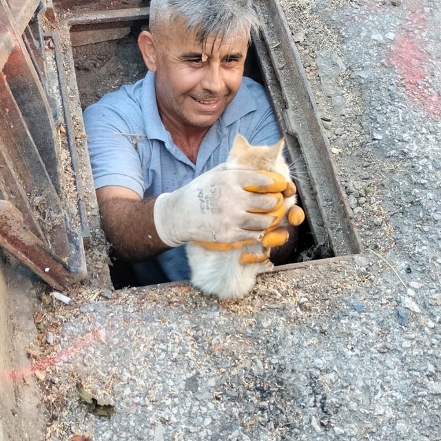 Kanalizasyona düşen kedi belediye ekiplerince kurtarıldı