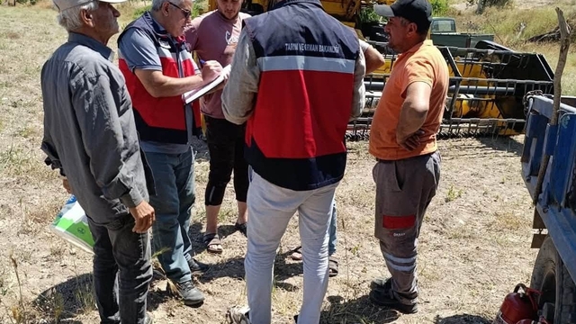 Gediz'de biçerdöverle hasat kontrolleri sürüyor