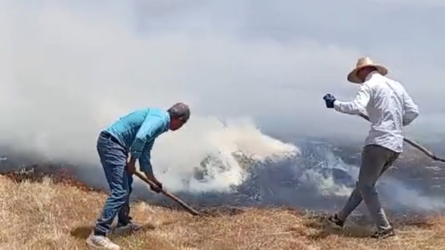 Yüksekova'da bin balya ot kül oldu