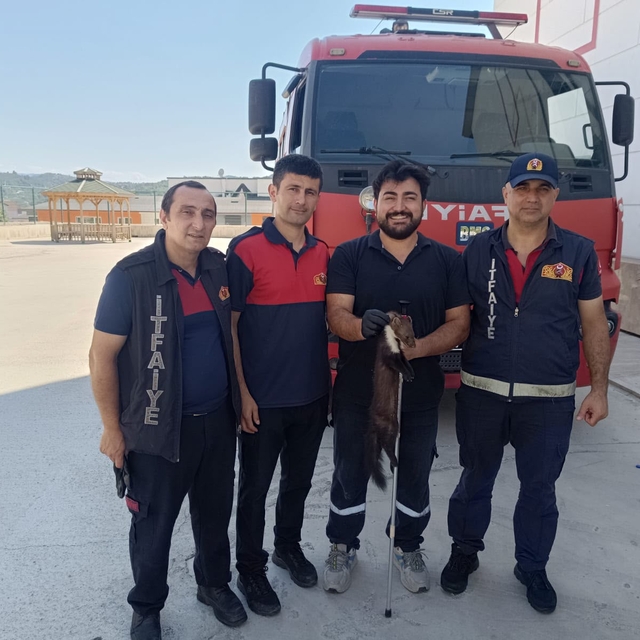 Zonguldak'ta bodrum kata giren sansar yakalandı