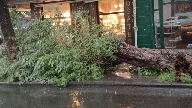 Kars'ta sağanak ve fırtına; yollar göle döndü, ağaç devrildi