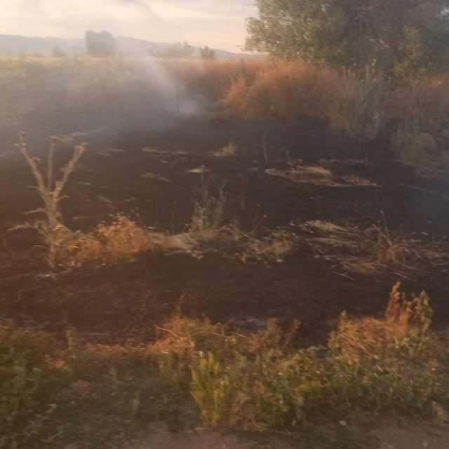 Anız yangını tarım arazileri ve ormanlık alana sıçramadan söndürüldü