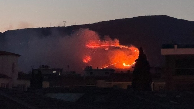 İzmir'de otluk alanda yangın