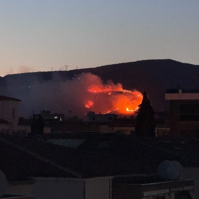 İzmir'de otluk alanda yangın