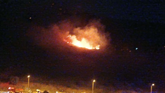 İzmir'de otluk alanda yangın (2)