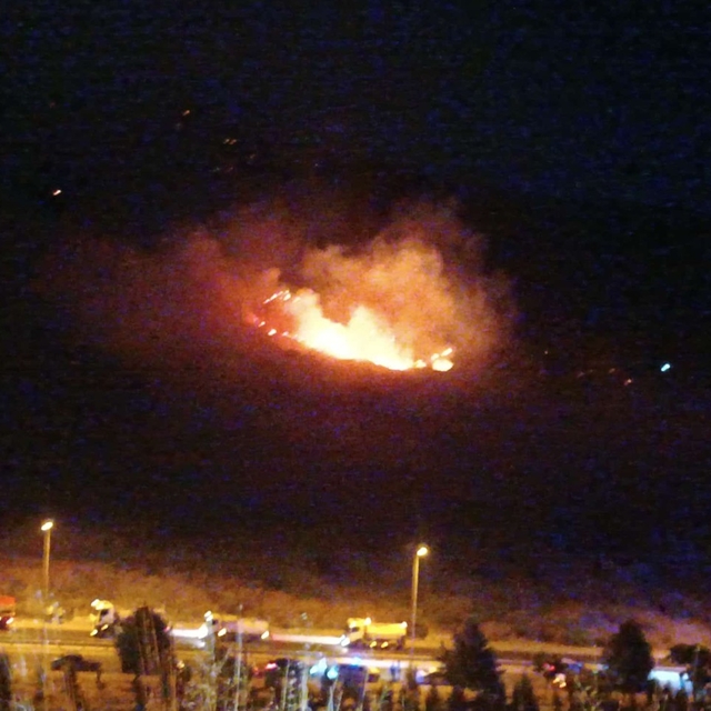 İzmir'de otluk alanda yangın (2)