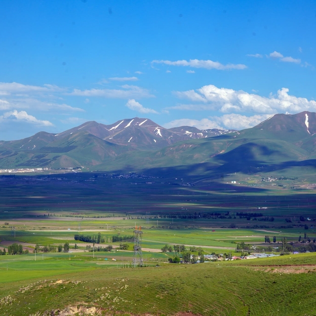 İşte Erzurum'un tarım karnesi