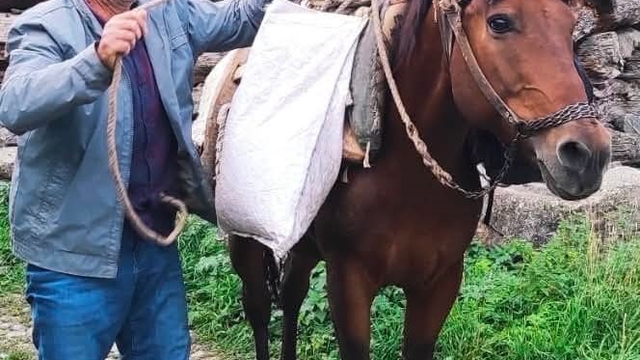 Erzurum'da acı olay: Psikolojik tedavi gören şahıs derede can verdi
