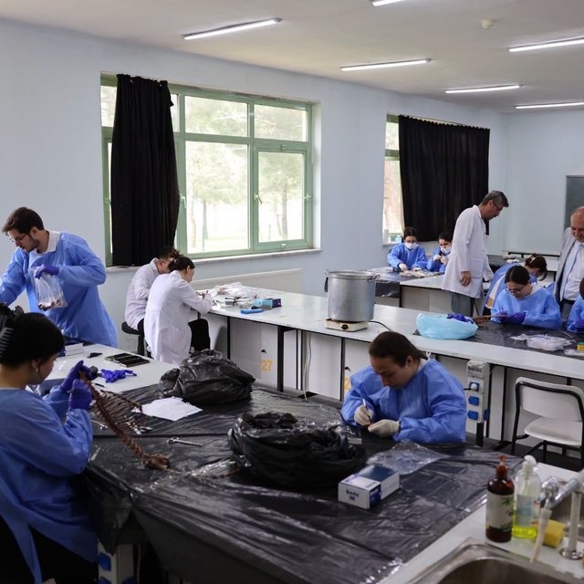 Trakya Üniversitesi Doğa Tarihi Müzesi'ne bilimsel katkı