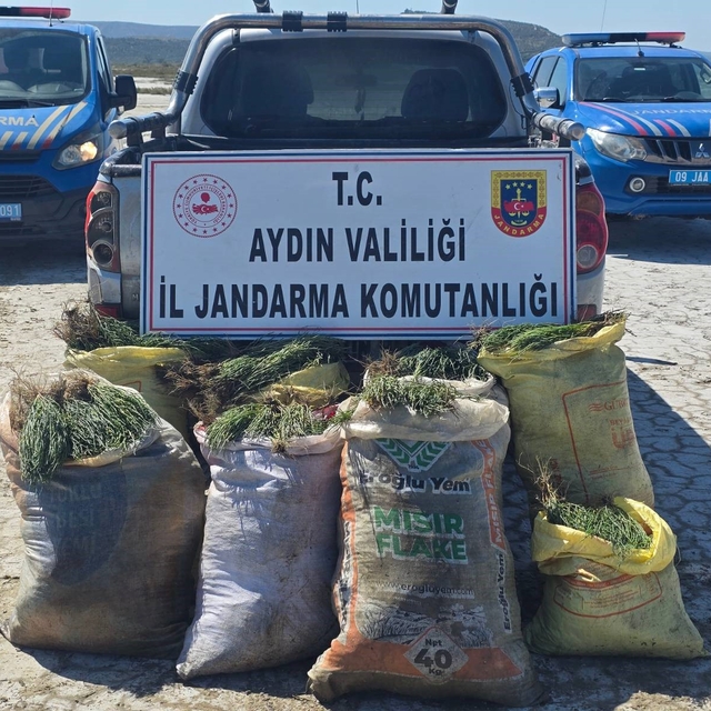 Doğal koruma alanlarında izinsiz bitki toplayan 8 şüpheliye işlem yapıldı