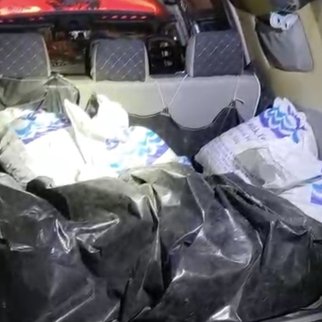 Kaçak toplanan 150 kilo kara kıllı midye denize geri bırakıldı