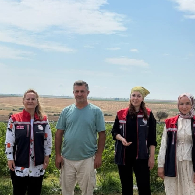 İpsala'da mavi yemiş hasat ediliyor
