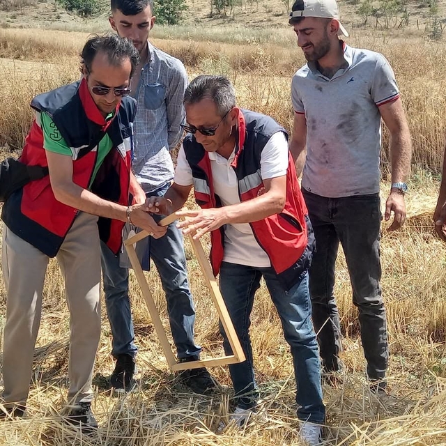 Tavşanlı'da biçerdöver kontrolleri sürüyor