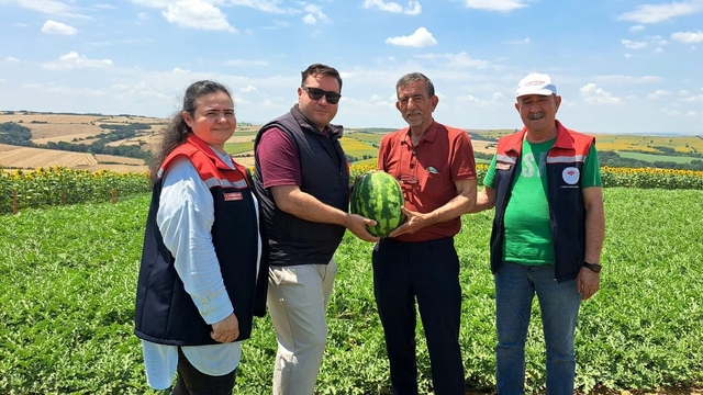 Tekirdağ'da ilk karpuz hasadı başladı