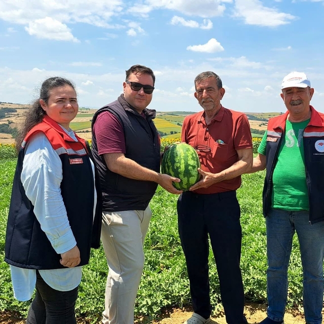 Tekirdağ'da ilk karpuz hasadı başladı