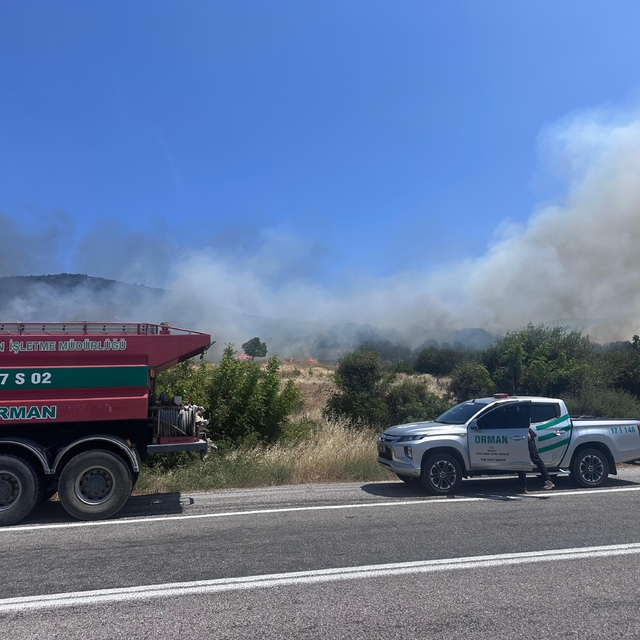 Çanakkale'de ormanlık alanda çıkan yangına müdahale ediliyor